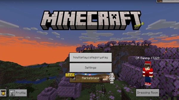 Minecraft